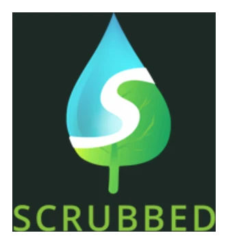 Scrubbed Window Washing logo